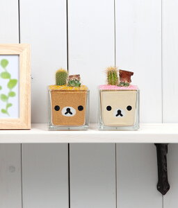 リラックマ 花の人気商品 通販 価格比較 価格 Com