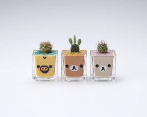 ybN}~jT{ez v[g Mtg bZ[WJ[h bsO v`Mtg  bN} RbN} LCCg a ϗtA  LOi t[ J[T