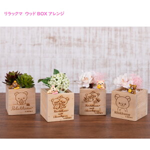 キイロイトリ 誕生日の人気商品 通販 価格比較 価格 Com キイロイトリ 誕生日の人気商品 通販 価格比較 価格 Com