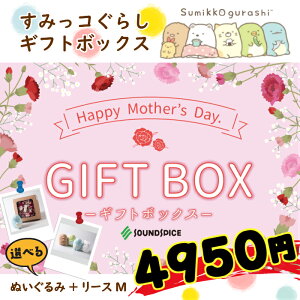 リース 壁掛け 春 玄関 プリザーブドフラワー 通販 価格比較 価格 Com
