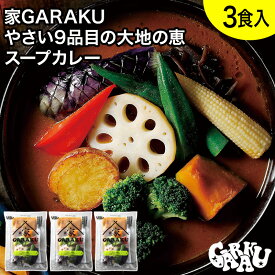 家GARAKU やさい9品目の大地の恵スープカレーセット (3個入) ガラク 札幌 北海道 スープカレー レトルト 具材 素 グルメ セット お取り寄せ お土産 人気店 【冷凍クール便】