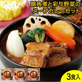 豚角煮と彩り野菜のスープカレーセット ガラク 札幌 北海道 スープカレー チキンレッグ レトルト 具材 素 グルメ セット お取り寄せ お土産 人気店