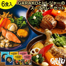 GARAKUとトレジャーのスープカレーセット（6個） ガラク 札幌 北海道 スープカレー チキンレッグ レトルト 具材 素 グルメ セット お取り寄せ お土産 人気店