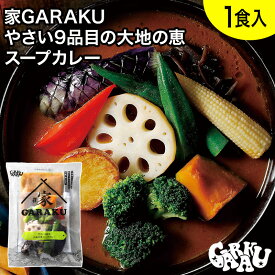 家GARAKU やさい9品目の大地の恵スープカレー ガラク 札幌 北海道 スープカレー レトルト 具材 素 グルメ セット お取り寄せ お土産 人気店 【冷凍クール便】