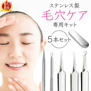 ≪半額+最大1000円オフクーポン≫1日0時〜★ 毛穴ケア 5本セット 毛穴ケア専用キット プロ仕様 ステンレス ステンレス製 ケース付き いちご鼻すっきり 毛穴 にきび 黒ずみ ニキビケア 除去