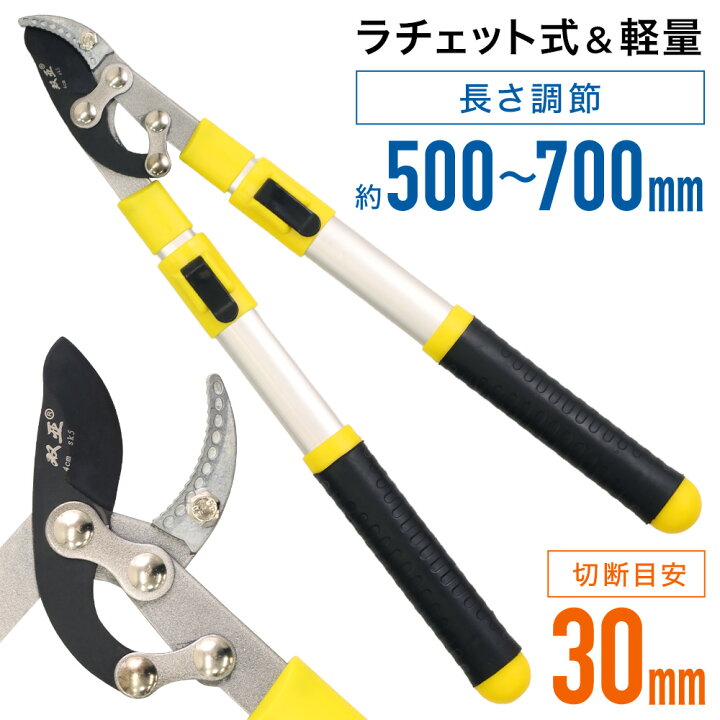 楽天市場 5 Offクーポン配信 9 18 3日間限定 伸縮式 枝切りはさみ 鋏 高枝切り 太枝 太枝切り鋏 剪定ばさみ 軽量 枝切り 枝きり 太枝 バサミ ラチェット式 剪定鋏 園芸用品 花鋏 枝切りハサミ 枝切りバサミ 園芸ハサミ はさみ 枝切り鋏 剪定ハサミ 園芸 楽天市場 5 Offクーポン配信 9 18 3日間限定 伸縮式 枝切りはさみ 鋏 高枝切り 太枝 太枝切り鋏 剪定ばさみ 軽量 枝切り 枝きり 太枝 バサミ ラチェット式 剪定鋏 園芸用品 花鋏 枝切りハサミ 枝切りバサミ 園芸ハサミ はさみ 枝切り鋏 剪定ハサミ 園芸