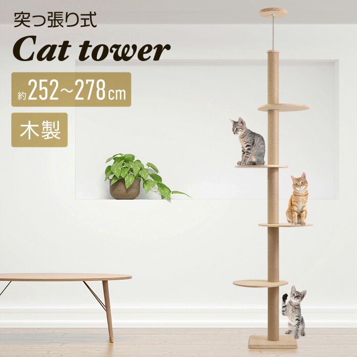 楽天市場】【ほぼ全品7％OFF☆4H限定】4日20時～ 【訳あり】 キャット 