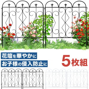50l1lyzz9/19()20`5Ԍ K[f tFX  t[ ACA  ܂ Ԓd O   A AeB[N Be[W k ubN zCg   N