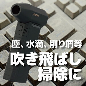 JX^(CUSTOM) u[N[i[ u[ N[i[ 2in1 3iK  BC-01 GA_X^[ ^ GA[_X^[