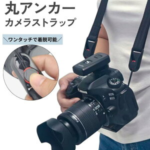 [50%OFFN[|zz20`g] JXgbv  AJ[ ΂ߊ| | | 킢 lbNXgbv V_[Xgbv ჌t ~[X jp J