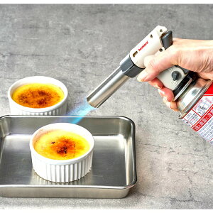 J iwatani C^j Iwatani C^j NbLOg[`o[i[t̒BlII CB-TC-CKWHP pJZbgKXg[`o[i[ KXo[i[ t藿 Ă ł PSLPG}[NKi J