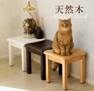 【5％OFF★クーポン】15日0時～ 木製スツール スツール 木製 四角 ミニスツール 花台 加湿器 観葉植物 台…