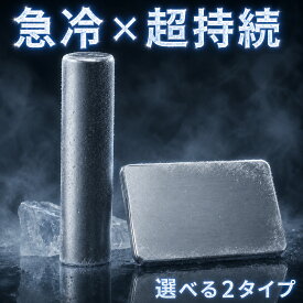 【先着20％OFF★5％OFFクーポン】8日～ 保冷剤 ステンレス プレート 長時間 最強 保冷 ステンレス製 2枚 円形 強力 キャンプ お弁当 長持ち 円柱 クーラーボックス 円柱 アイスパック 熱中症対策 アウトドア 防災 繰り返し使える 保冷用品 省エネ コンパクトキンキンコンパク
