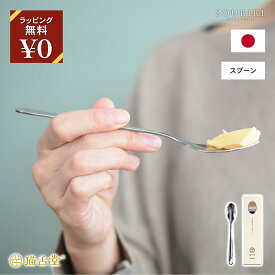 iisazy イイサジー spoon スプーン カトラリー 食器 おしゃれ 猫舌堂 北欧風 ステンレス 軽量 耐久性 高品質 食卓用 デザートスプーン ギフトセット プレゼント用 洋食器 家庭用 結婚祝い 新生活 テーブルウェア レストラン用
