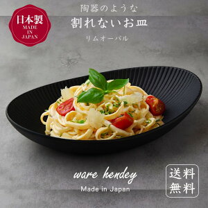 カレー皿 パスタ皿 オーバル 割れない皿 おしゃれ 黒 シンプル 楕円皿 楕円形皿 セット 軽量 プラスチック皿 オシャレ皿 割れない 皿 レンジ対応 食洗機対応 割れないお皿 日本製 陶器風 高
