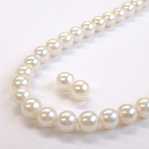 AM[ AR^ 2_Zbg 6.0-6.5mm lbNX sAX or CO p[ ^  ^ 6 a AM[΍ `^
