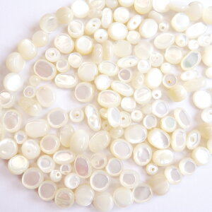 yc͂ 10%OFF yVX[p[SALEz }U[Iup[ ^u 10 zCg MOP VF nhCh f p[c nhChp[c VFp[c r[Y