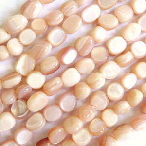 yc͂ 10%OFF yVX[p[SALEz }U[Iup[ ^u 10 sN MOP VF nhCh f p[c nhChp[c VFp[c r[Y