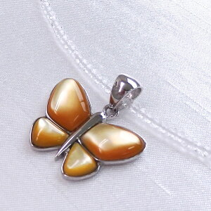 SV zCggp[Y CG[VF lbNX X o^tC  傤  lC v`v VF gp[Y 11 a