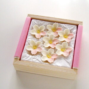 َq@@uؔ 7PvyaَqzyaَqlzyΕzyَqzyaO~zy蕨z