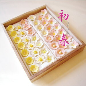 َq utv˔lߍ킹@EEg~EgցENbJXEyaَqzyaَqlzyΕzyَqzyaO~zy蕨z