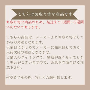 uU[ {rP[X XH4533001 EƗp~Vpy[J[񂹏iz