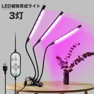 3 A琬Cg LED A琬 ϗtA A琬 琬Cg A Cg ͔| k͔| ؍H ledCg 3[hF 5iK 360x ^C}[@\ ~J ~ ƕs