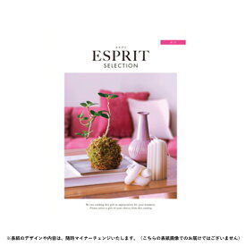 チョイスギフト エスプリ ポップコース 4290円コース【カタログギフト】