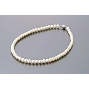 p[Ep[EREx W^X^_[hlbNX FWN65A