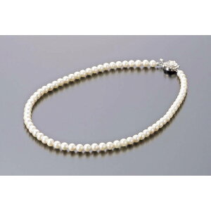 p[Ep[EREx AR{^lbNX NS6