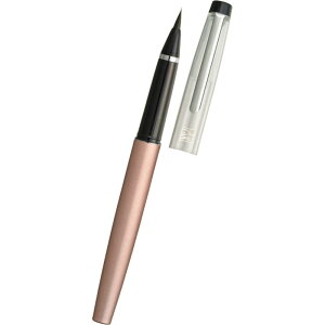 | NѕM DT120-4 sNS[h