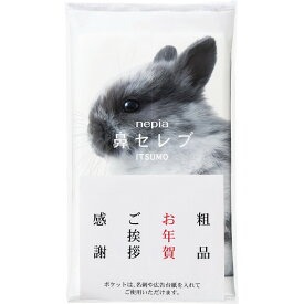 ネピア 鼻セレブITSUMO+PLUS 48W シール・ポケット付き※急なパッケージ変更の場合あり