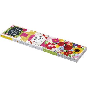 {Ȃ`BOXeBbV`̉ԑ`30W