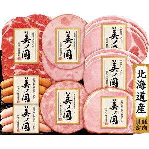 {n kC v~A m UKH-48yizioׂ11{`j