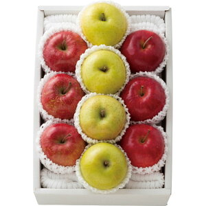 3񂲃AJg v10 2.5kg 2512145yizioׂ11{`jws