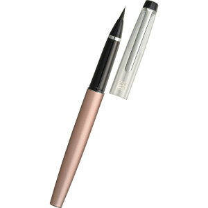 | NѕM DT120-4 sNS[h
