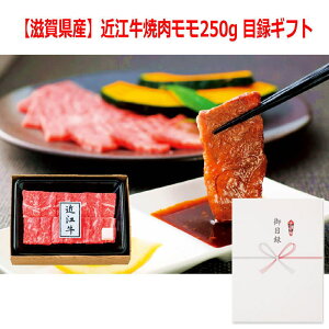 iiiɍœKjplX^Cژ^Mtg yꌧYzߍ]ē250g 3218-80