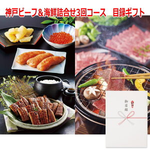 iiiɍœKjplX^Cژ^Mtg _˃r[tCNl3R[X 6553-500