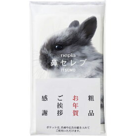 ネピア 鼻セレブITSUMO＋PLUS 48W シール・ポケット付き