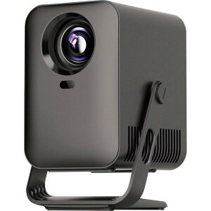 ���}�X �~�jLCD�v���W�F�N�^�[ RA-PB600