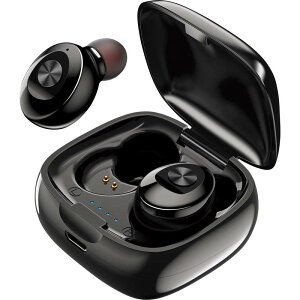 ���S�Ɨ����C�����X�C���z�� HD-WGT08BK