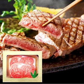 飛騨牛ロースステーキ（5等級）180g×2 LSH182【直送品】送料無料