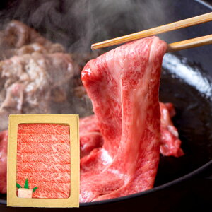 ˋĂi5[Xj500g SLH501yiz