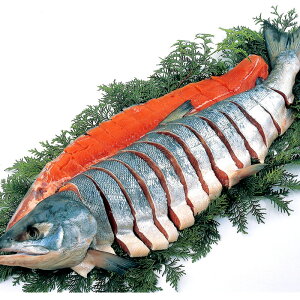 kCYY Vp؂g 1.8-2.2yizioׂ11{`j