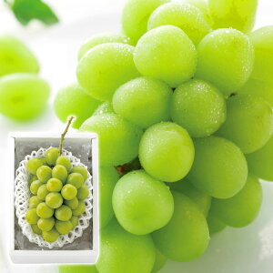 yyVX[p[SALE 12/4 20:00`12/11 1:59zVC}XJbg 1[i500gj 2512163yizioׂ12{`jws