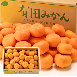 Lc݂ 4.5kgi2S`Lj 2512108yizioׂ11{`jws