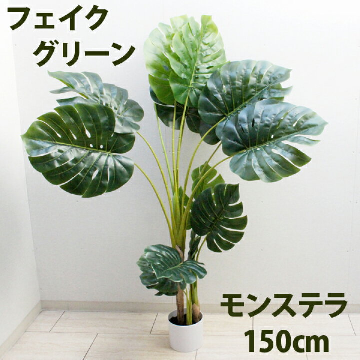 楽天市場】【フェイクグリーン】【人工観葉植物】モンステラ ツリー 高 