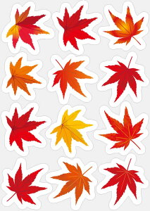 yHzEBhEXebJ[qgtr䎆A3TCY@/@H gt  t Cxg p[eB[ V[ fR[V fBXvC