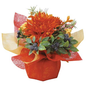 yHzbsO|bgI[^K[xH14×W10cm / H Xܑ  fBXvC fR[V  ̑