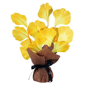 yHz~j~j|bg傤H19×W13×D13cm@/@H Xܑ  fBXvC fR[V  ̑